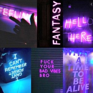 Meet your Posher, Mia